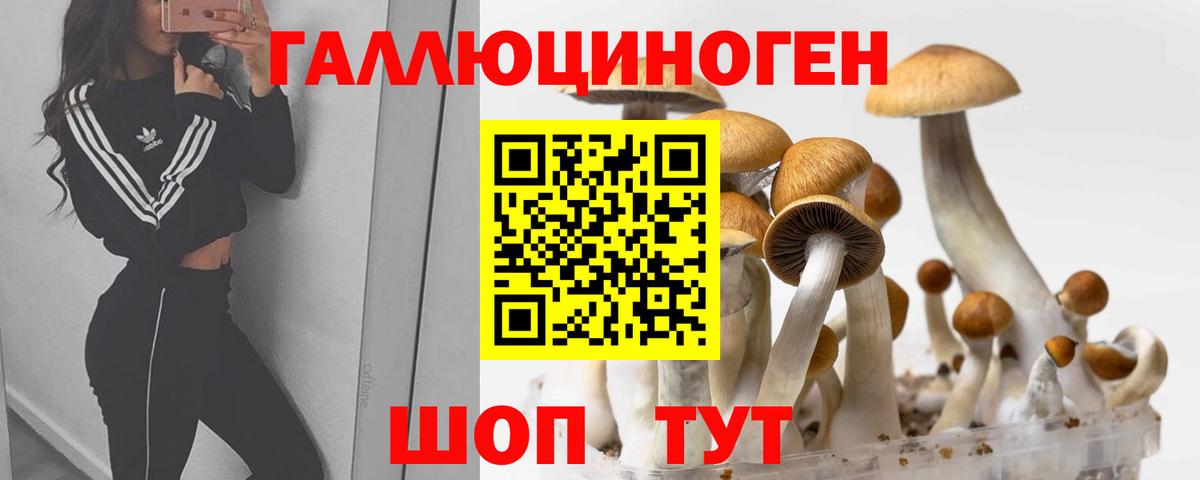Горно-Алтайск  Псилоцибиновые грибы ЛСД  Вход с VPN 